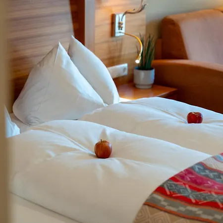 Hotel Alte Post Grossarl